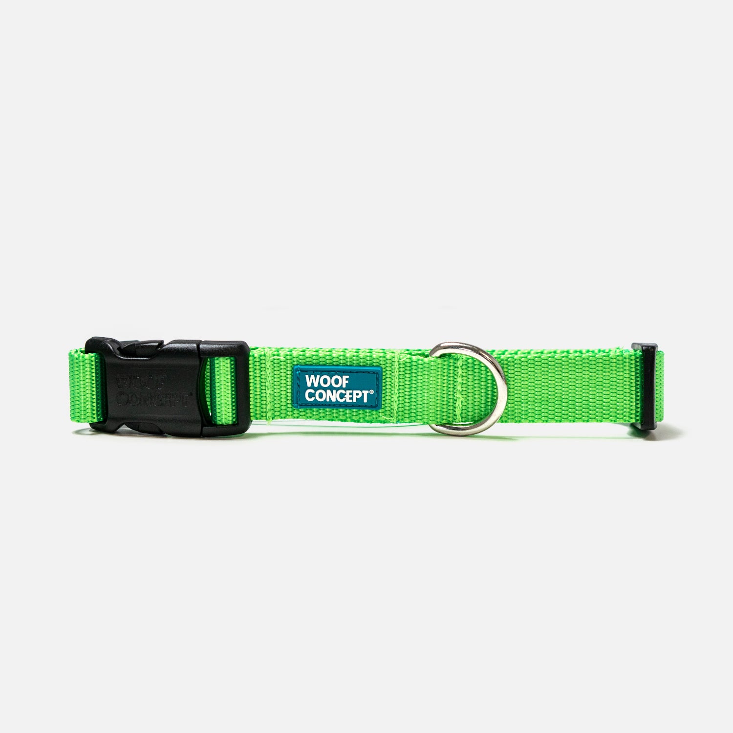 Kiwi dog shop collar