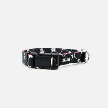 Latest Products 45.00 usd for Park Avenue Dog Collar in Cloud White  Boutiques