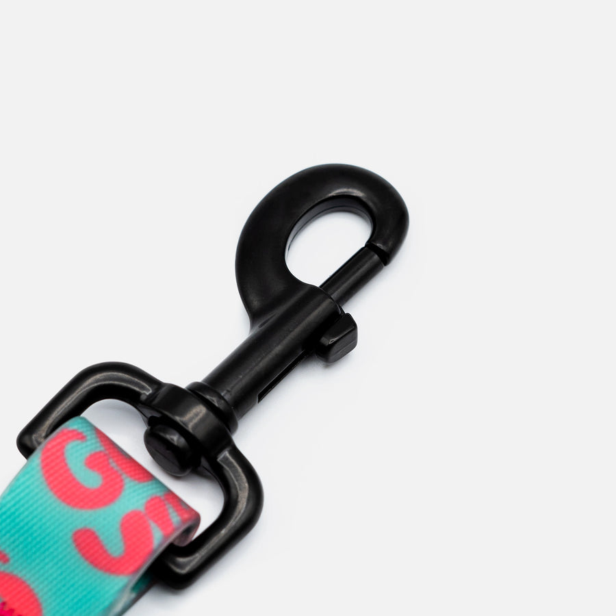 Waterproof Dog Leash