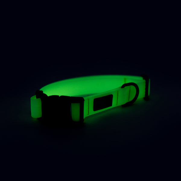 Waterproof glow in the fashion dark dog collar